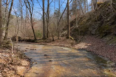 0 Cave Branch Rd, Dickson, TN 37055 photo 18