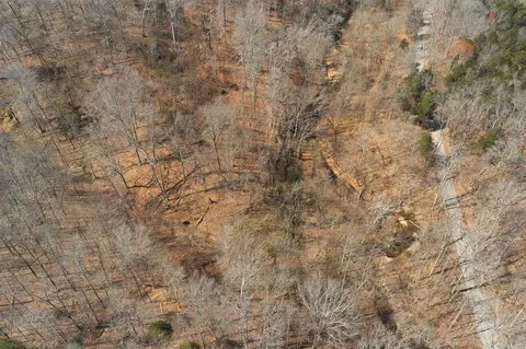 0 Cave Branch Rd, Dickson, TN 37055 photo 6