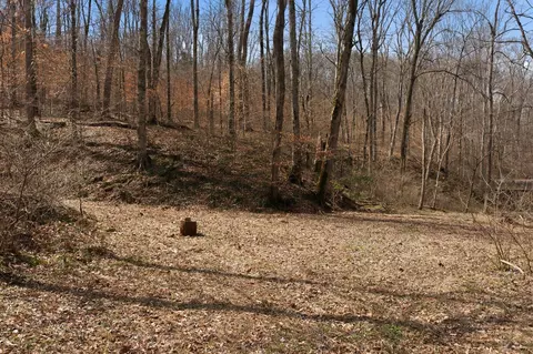 0 Cave Branch Rd, Dickson, TN 37055 photo 15