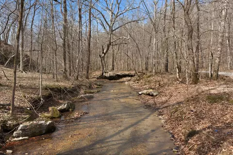 0 Cave Branch Rd, Dickson, TN 37055 photo 19