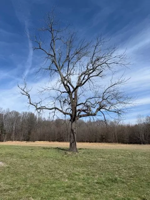 Other - 2100 Beacon Light Rd, Morrison, TN 37357 photo 11 of 22