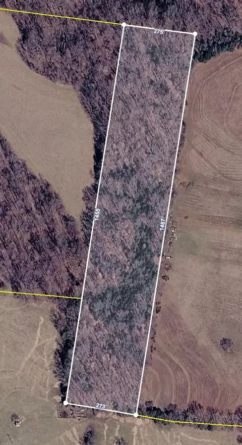 0 Hwy 48, Charlotte, TN 37036