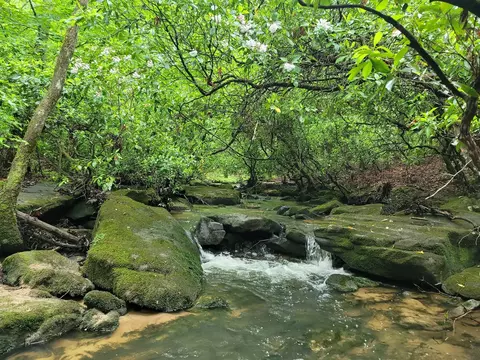 911 Spearhead Cir, Clarkrange, TN 38553