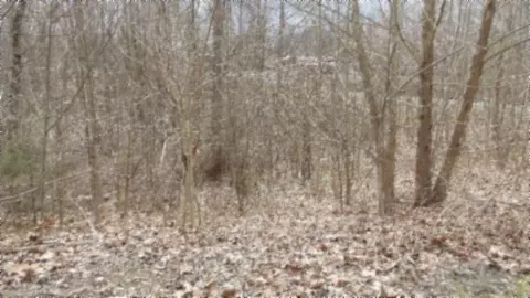 0 Beaver Ln, Gainesboro, TN 38562