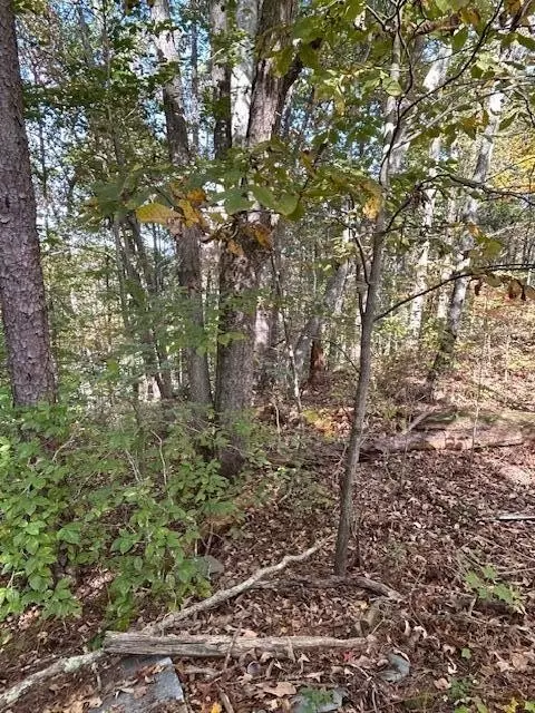 219 Womble Rd, Farner, TN 37333 photo 22