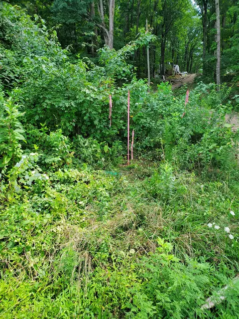 235 County Rd, Niota, TN 37826