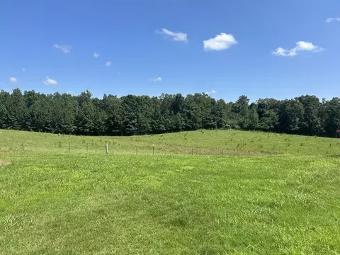 3421 George Olive Rd, Iron City, TN 38463