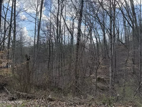 0 Nolan Ln, Heiskell, TN 37754