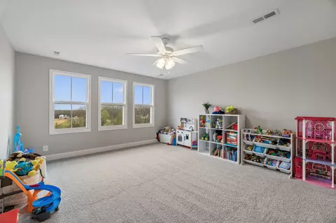 Bedroom - 114 Ruby Grant Ln, Southside, TN 37171 photo 6 of 10