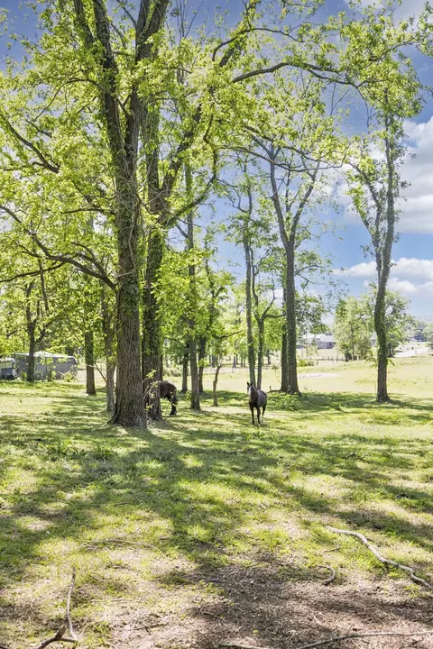 Exterior - 660 Allisona Rd, Eagleville, TN 37060 photo 25 of 31