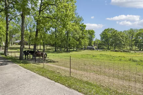 Other - 660 Allisona Rd, Eagleville, TN 37060 photo 11 of 19