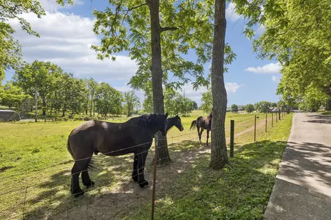 Other - 660 Allisona Rd, Eagleville, TN 37060 photo 13 of 19