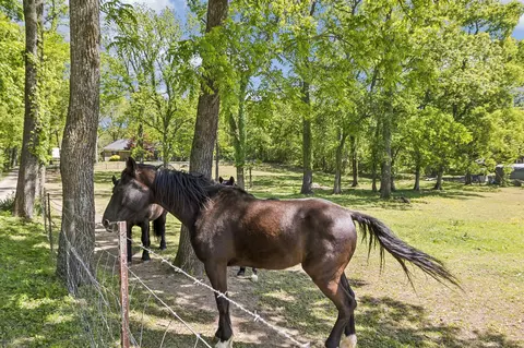 Other - 660 Allisona Rd, Eagleville, TN 37060 photo 12 of 19