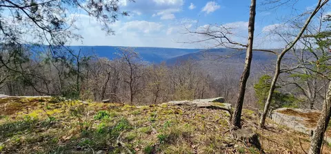 0 Roth Point Rd, Altamont, TN 37301