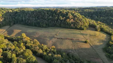 46 Carver Hollow Ln, Pleasant Shade, TN 37145