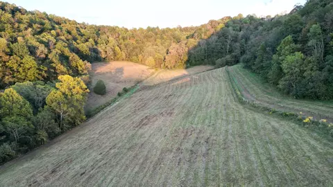 46 Carver Hollow Ln, Pleasant Shade, TN 37145
