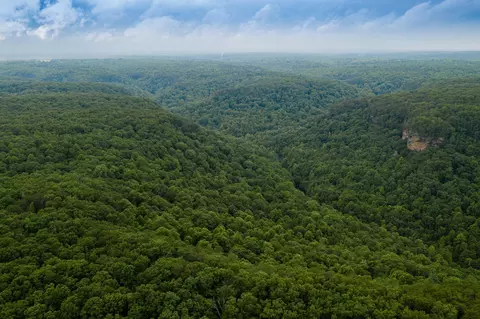 916 N Rim Dr, Coalmont, TN 37313