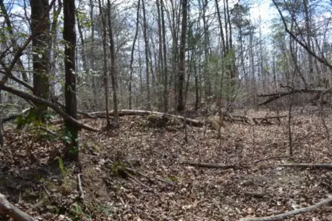 0 Buffalo Rd, Oneida, TN 37841 photo 25