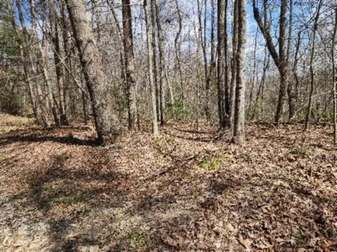 0 Buffalo Rd, Oneida, TN 37841 photo 44