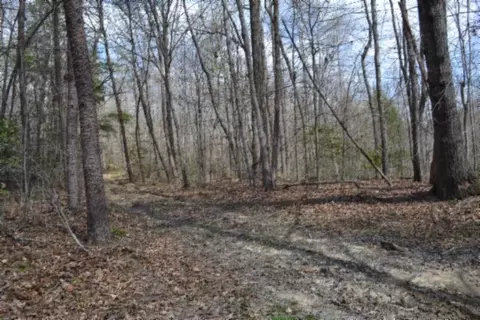 0 Buffalo Rd, Oneida, TN 37841 photo 23