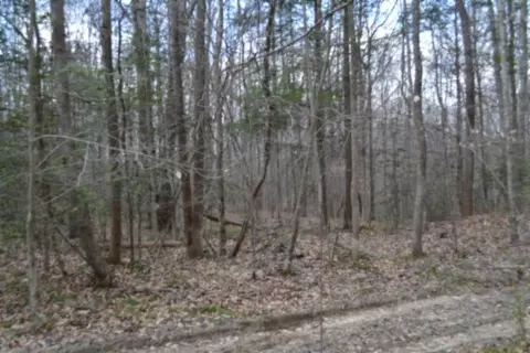 0 Buffalo Rd, Oneida, TN 37841 photo 39