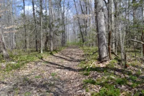 0 Buffalo Rd, Oneida, TN 37841 photo 33