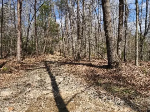 0 Buffalo Rd, Oneida, TN 37841 photo 5