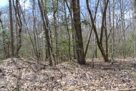 0 Buffalo Rd, Oneida, TN 37841 photo 17