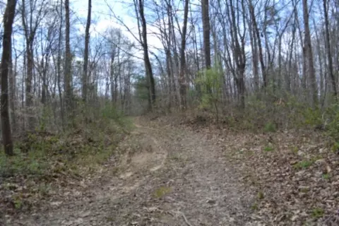 0 Buffalo Rd, Oneida, TN 37841 photo 16