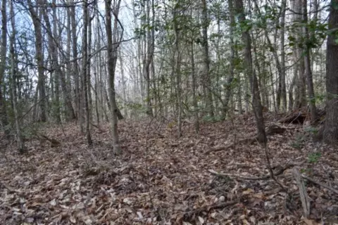 0 Buffalo Rd, Oneida, TN 37841 photo 19