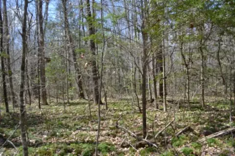 0 Buffalo Rd, Oneida, TN 37841 photo 36