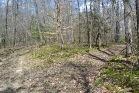 0 Buffalo Rd, Oneida, TN 37841 photo 32