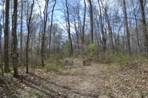 0 Buffalo Rd, Oneida, TN 37841 photo 3