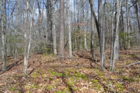 0 Buffalo Rd, Oneida, TN 37841 photo 28