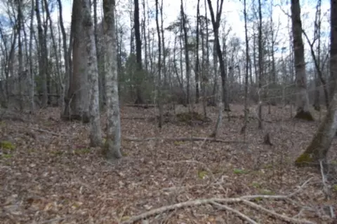 0 Buffalo Rd, Oneida, TN 37841 photo 27
