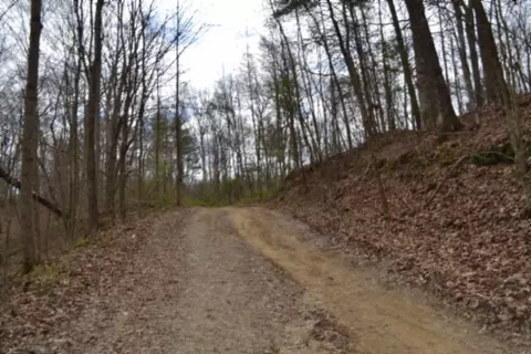 0 Buffalo Rd, Oneida, TN 37841 photo 12