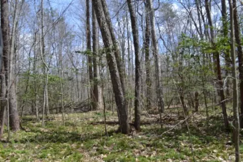 0 Buffalo Rd, Oneida, TN 37841 photo 34