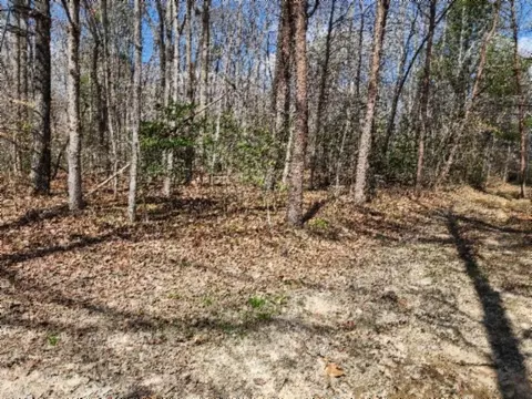 0 Buffalo Rd, Oneida, TN 37841 photo 6