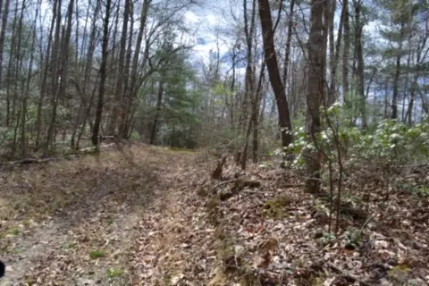 0 Buffalo Rd, Oneida, TN 37841 photo 15