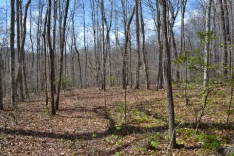 0 Buffalo Rd, Oneida, TN 37841 photo 4