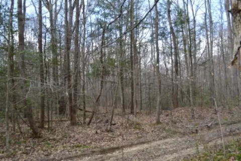 0 Buffalo Rd, Oneida, TN 37841 photo 37