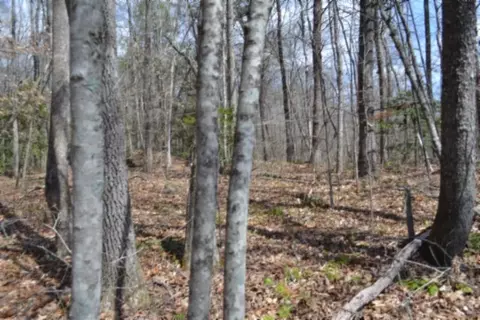 0 Buffalo Rd, Oneida, TN 37841 photo 30
