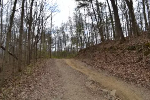 0 Buffalo Rd, Oneida, TN 37841 photo 11