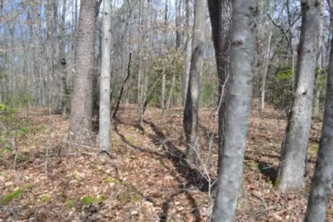 0 Buffalo Rd, Oneida, TN 37841 photo 29