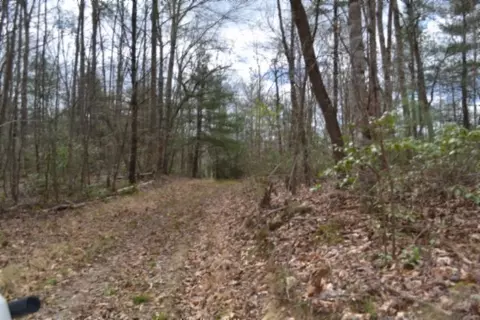 0 Buffalo Rd, Oneida, TN 37841 photo 14
