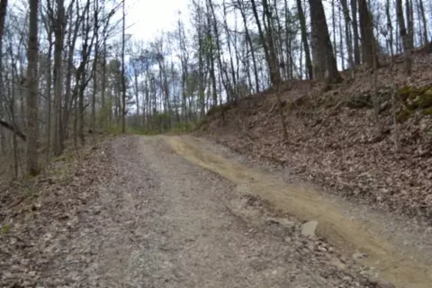 0 Buffalo Rd, Oneida, TN 37841 photo 10
