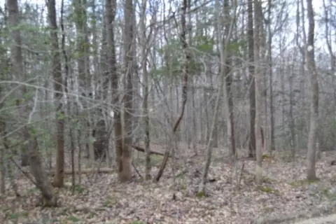 0 Buffalo Rd, Oneida, TN 37841 photo 38