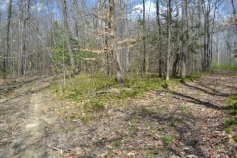 0 Buffalo Rd, Oneida, TN 37841 photo 31