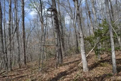 0 Buffalo Rd, Oneida, TN 37841 photo 9