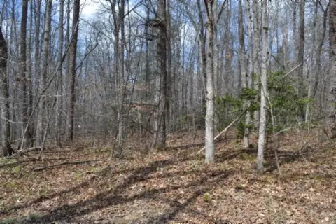 0 Buffalo Rd, Oneida, TN 37841 photo 22